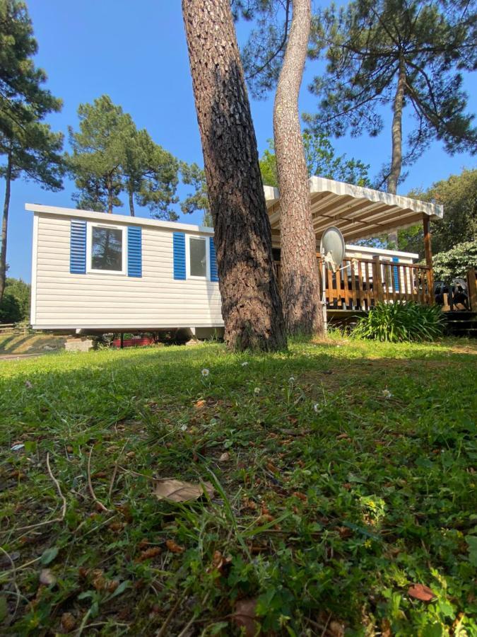 Mobilhome La Palmyre Bonne Anse Plage لو ماثيز المظهر الخارجي الصورة